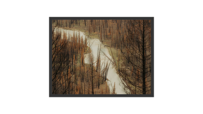 Image rendered by ArtFlows