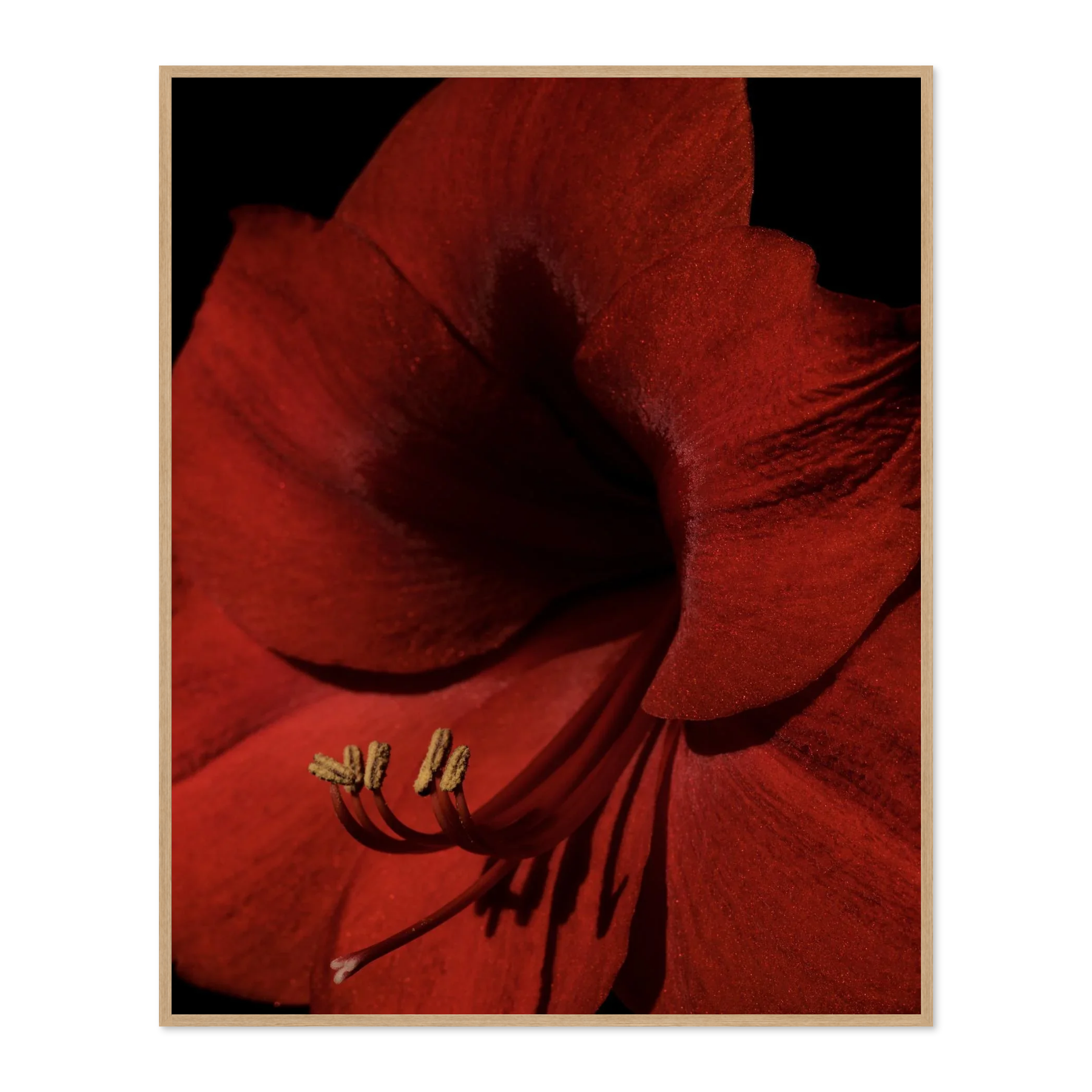 Image rendered by ArtFlows