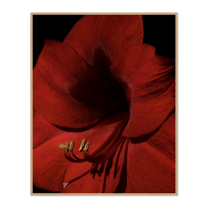 Image rendered by ArtFlows