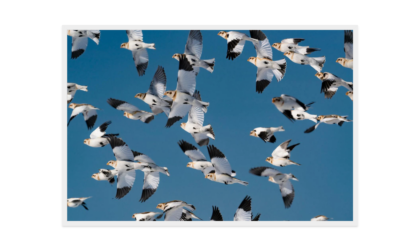 Image rendered by ArtFlows