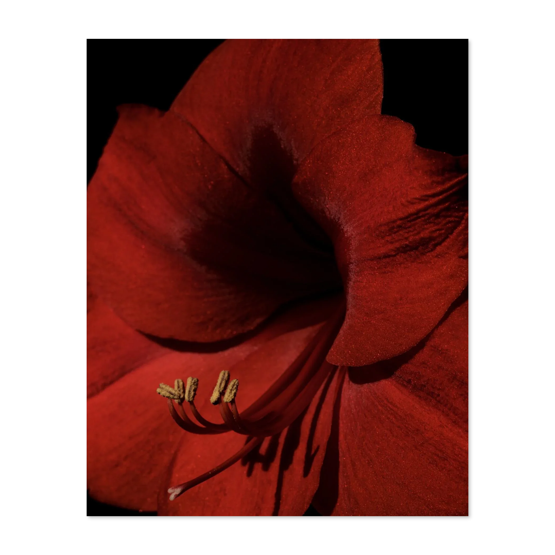 Image rendered by ArtFlows