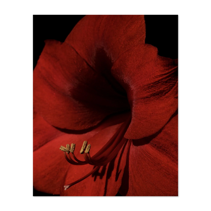 Image rendered by ArtFlows