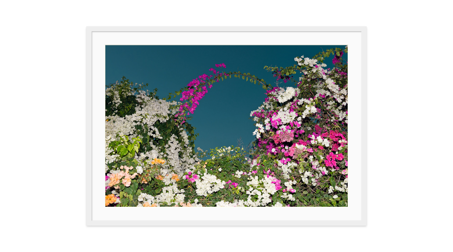 Image rendered by ArtFlows