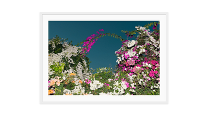 Image rendered by ArtFlows