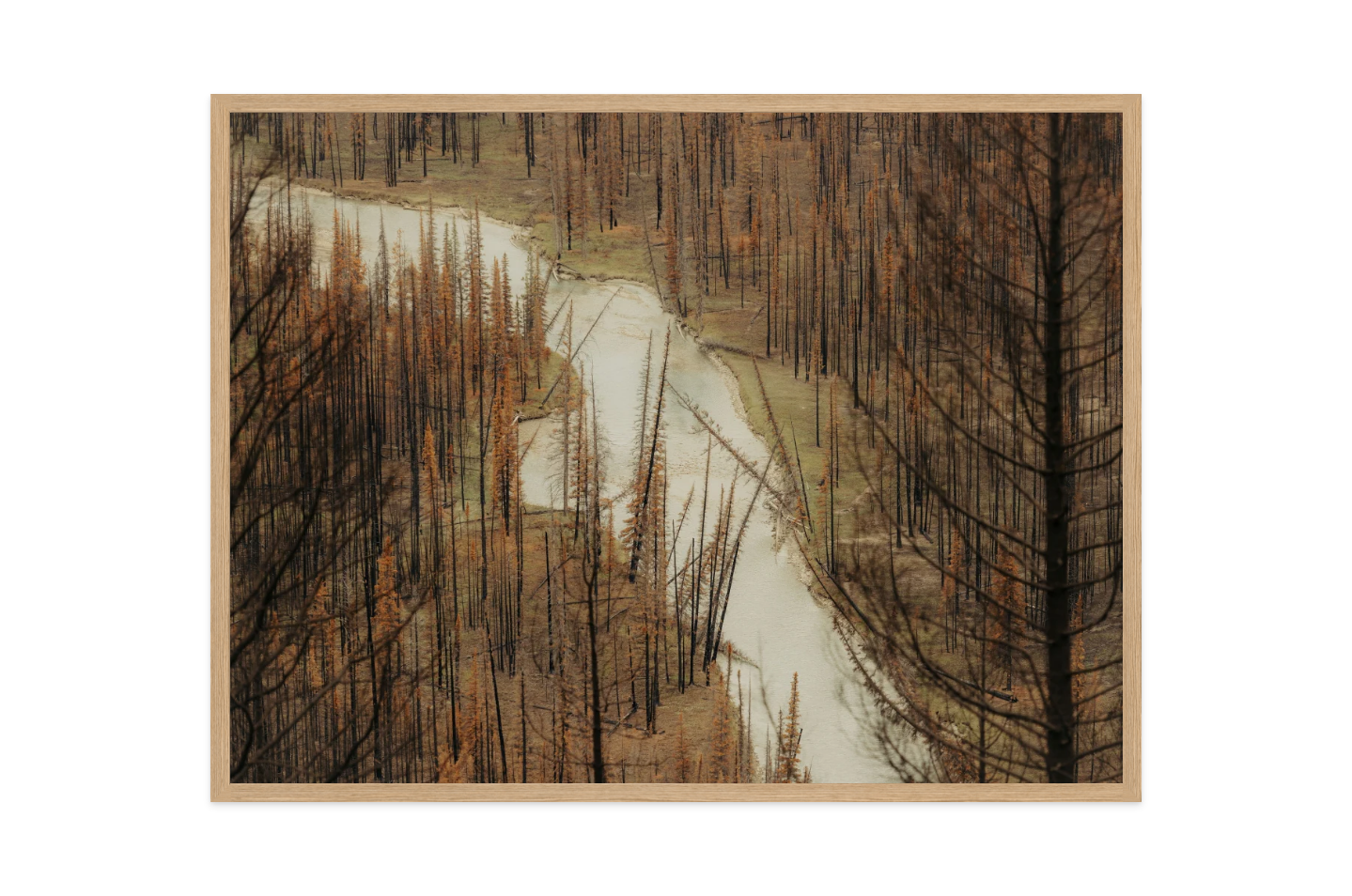 Image rendered by ArtFlows
