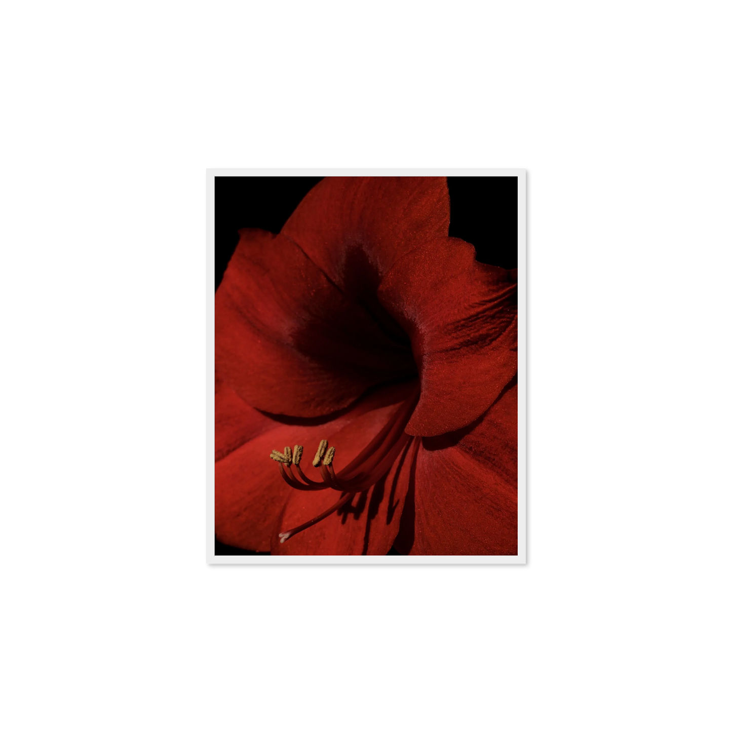 Image rendered by ArtFlows