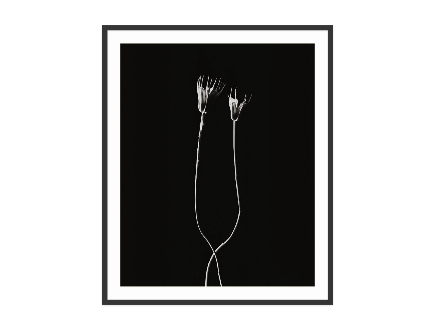 Image rendered by ArtFlows