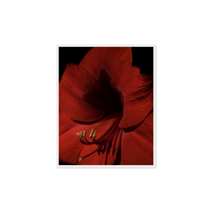 Image rendered by ArtFlows