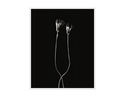 Image rendered by ArtFlows