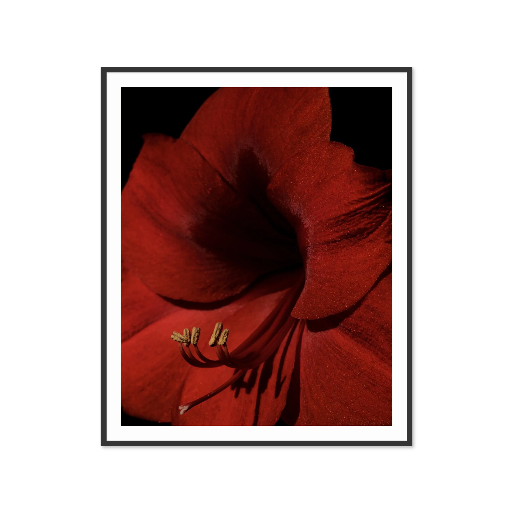 Image rendered by ArtFlows