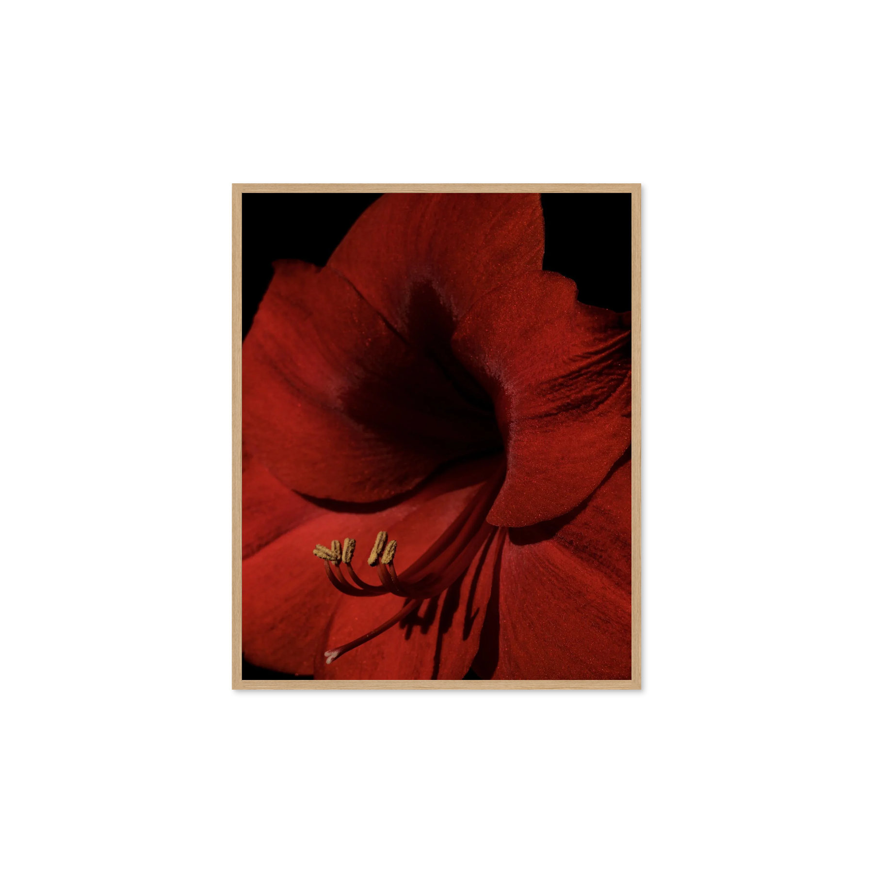 Image rendered by ArtFlows