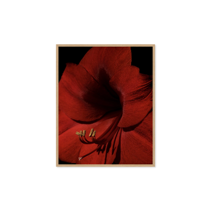Image rendered by ArtFlows