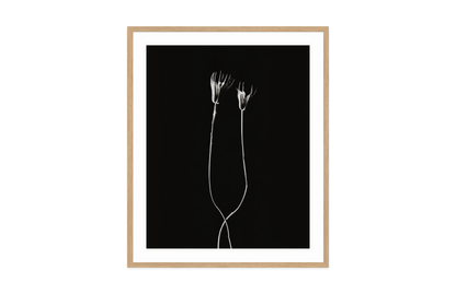 Image rendered by ArtFlows