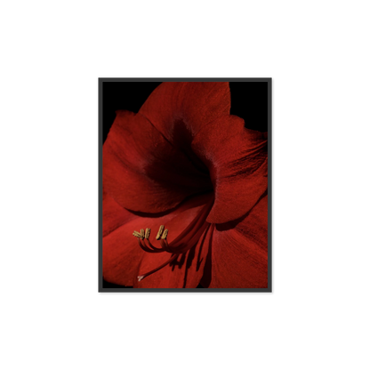 Image rendered by ArtFlows