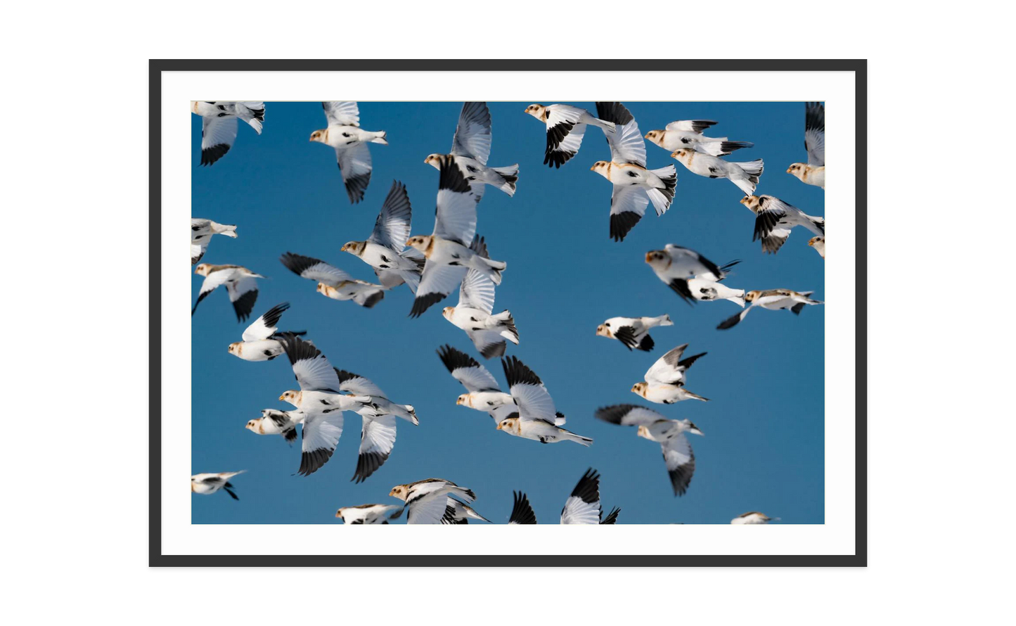 Image rendered by ArtFlows