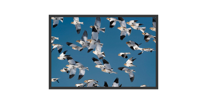 Image rendered by ArtFlows