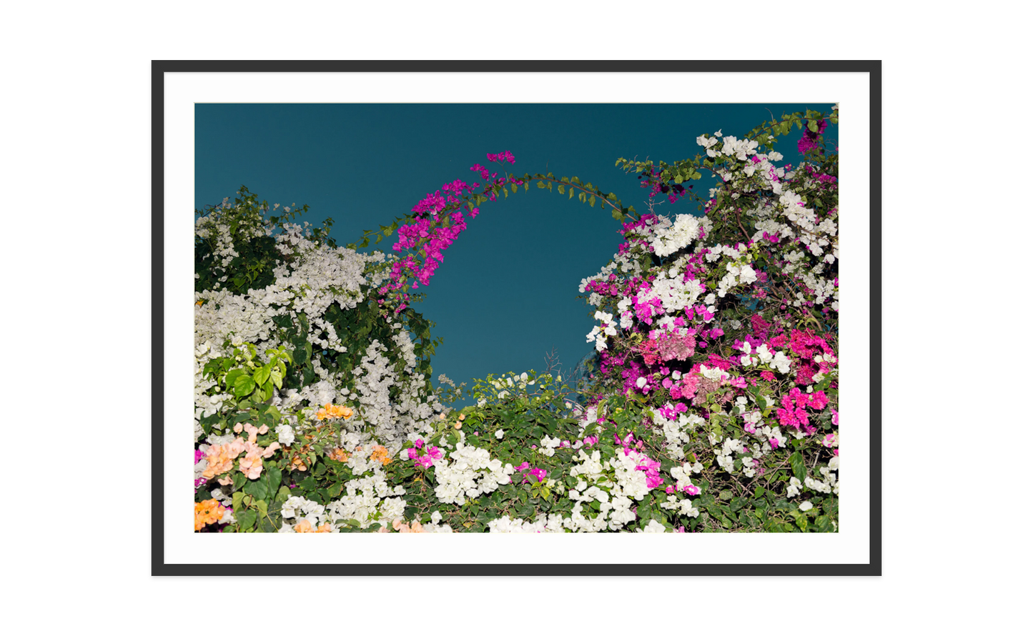 Image rendered by ArtFlows