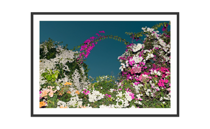 Image rendered by ArtFlows