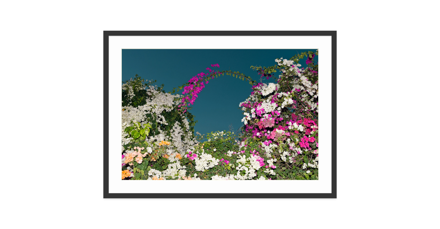 Image rendered by ArtFlows