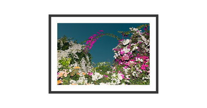 Image rendered by ArtFlows
