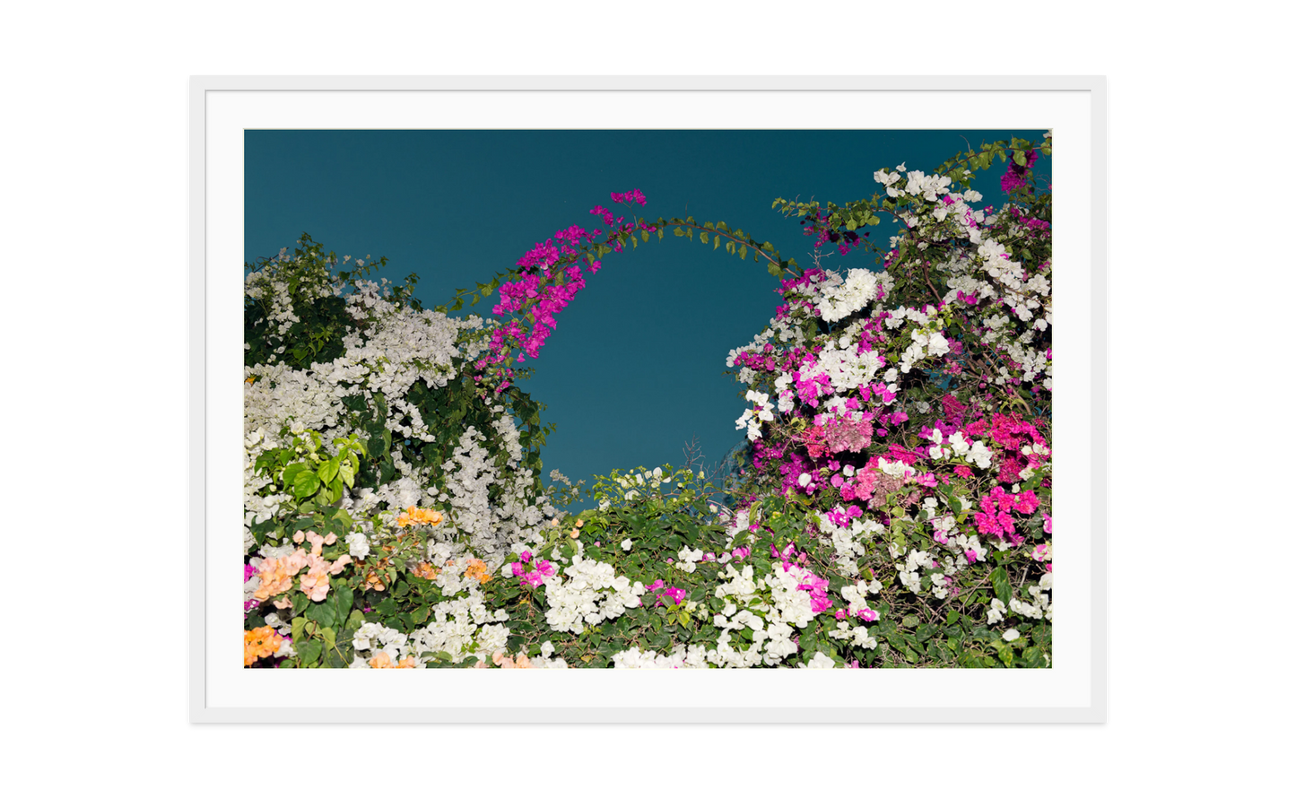 Image rendered by ArtFlows