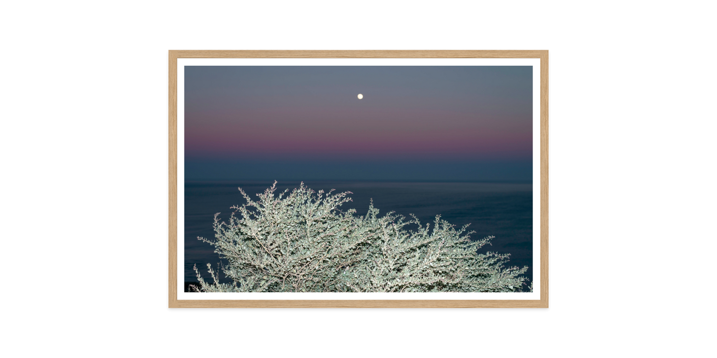 Image rendered by ArtFlows