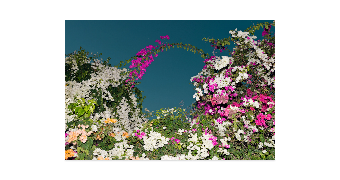 Image rendered by ArtFlows