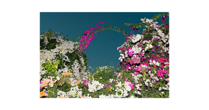 Image rendered by ArtFlows