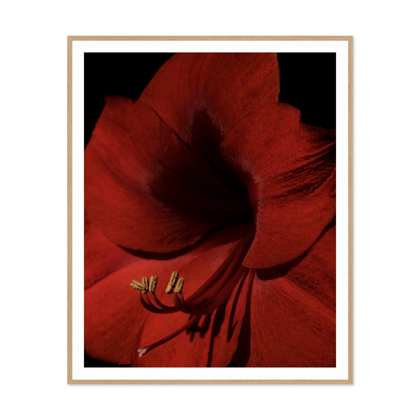 Image rendered by ArtFlows