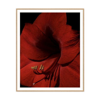 Image rendered by ArtFlows