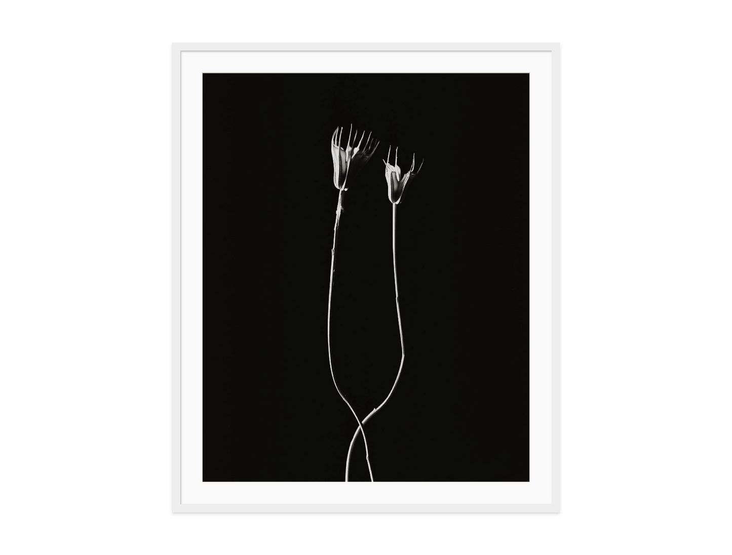 Image rendered by ArtFlows