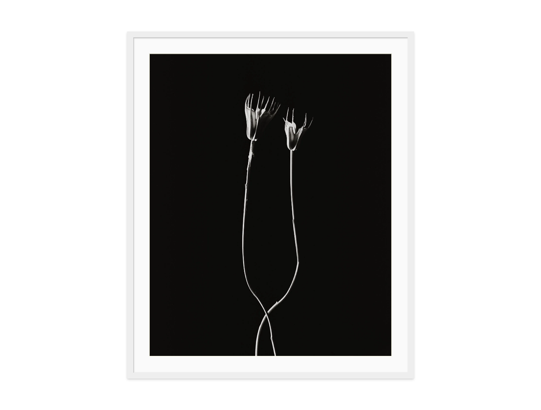 Image rendered by ArtFlows