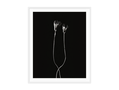 Image rendered by ArtFlows