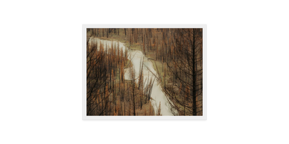 Image rendered by ArtFlows