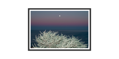Image rendered by ArtFlows