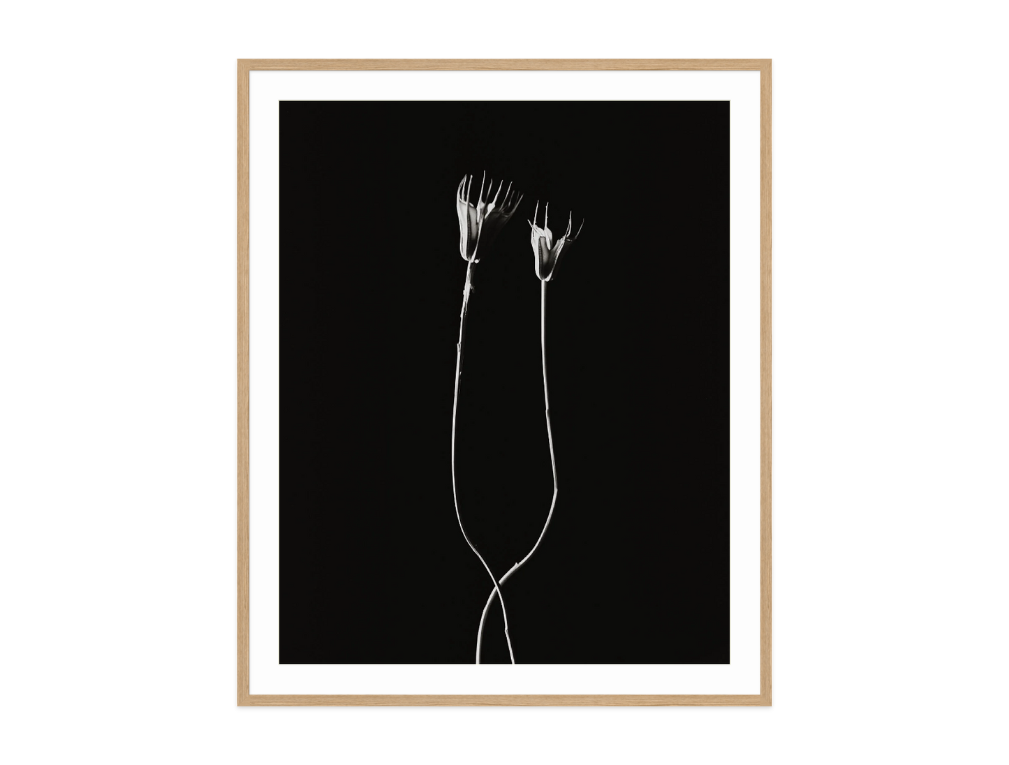 Image rendered by ArtFlows