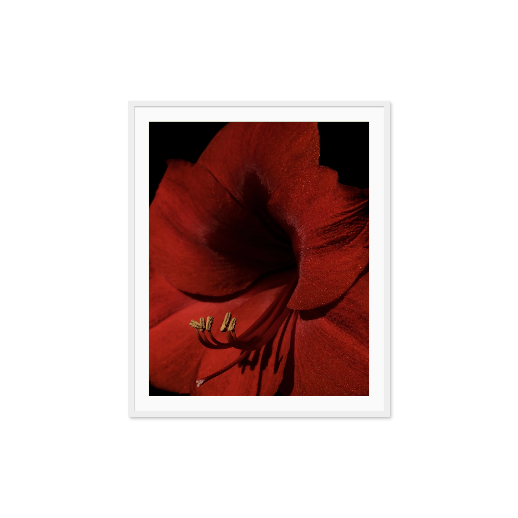 Image rendered by ArtFlows