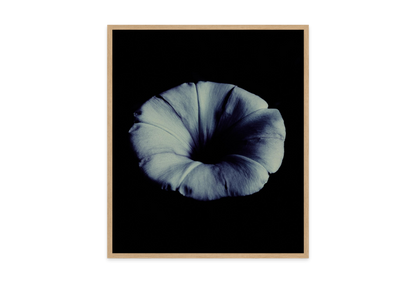 Image rendered by ArtFlows