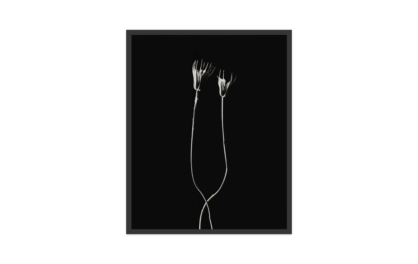 Image rendered by ArtFlows