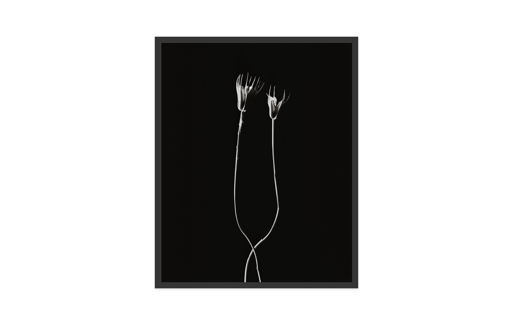 Image rendered by ArtFlows