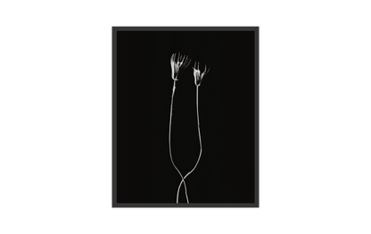 Image rendered by ArtFlows