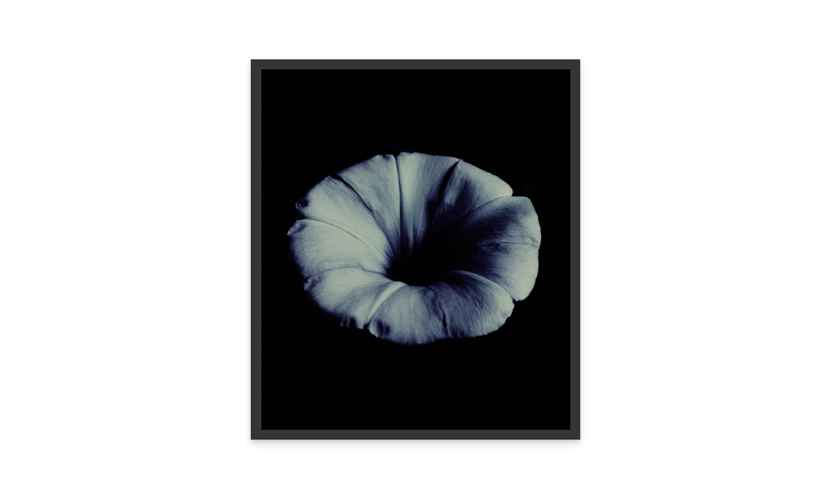 Image rendered by ArtFlows