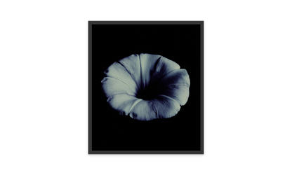Image rendered by ArtFlows