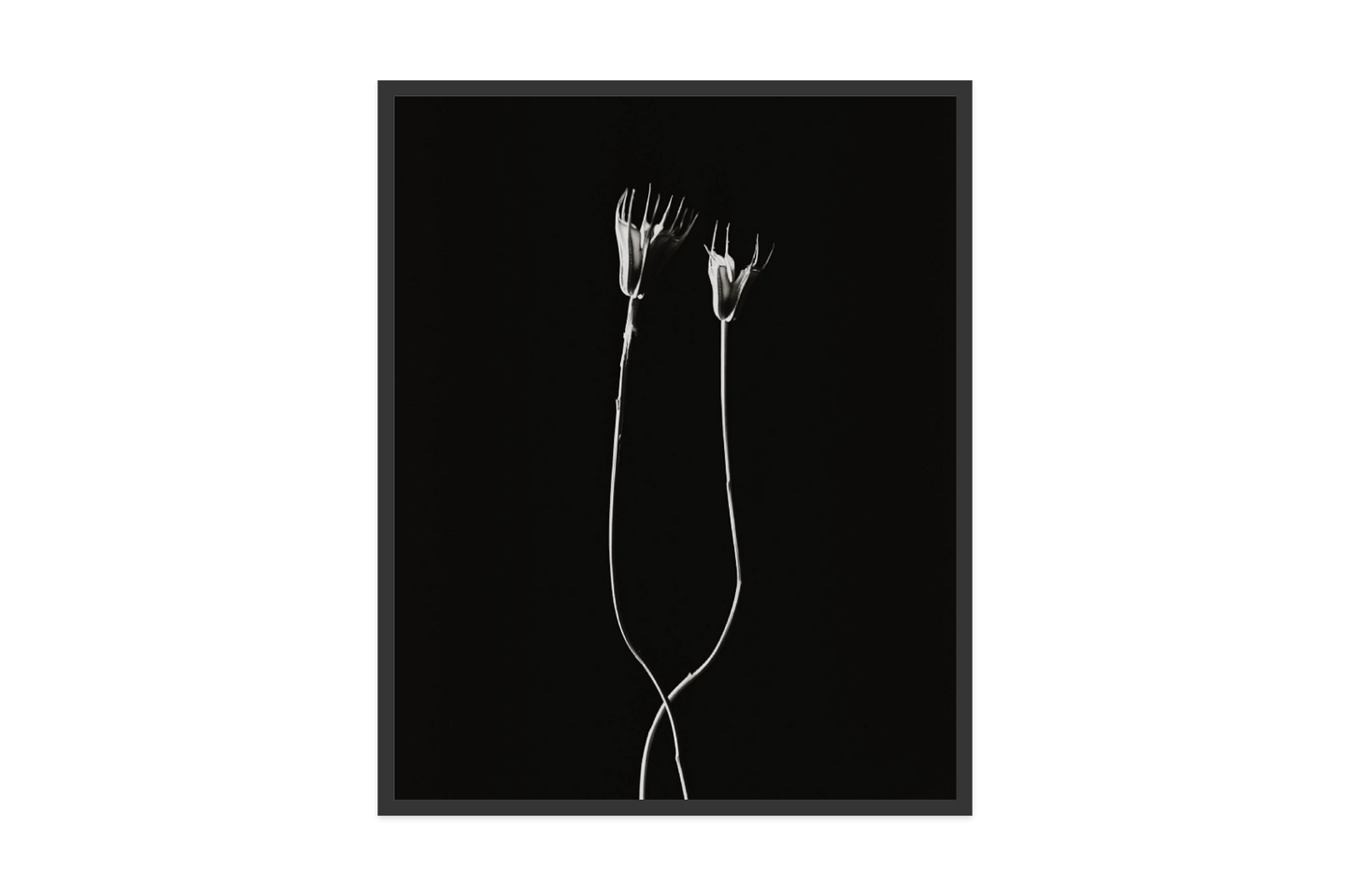Image rendered by ArtFlows