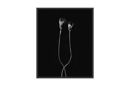 Image rendered by ArtFlows