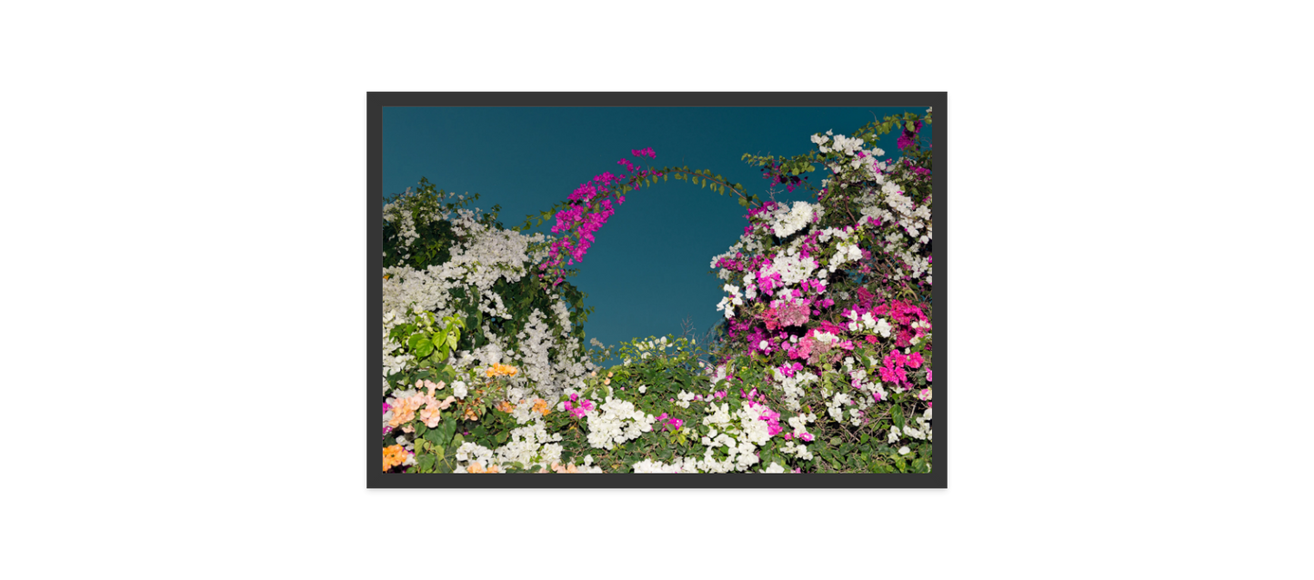 Image rendered by ArtFlows