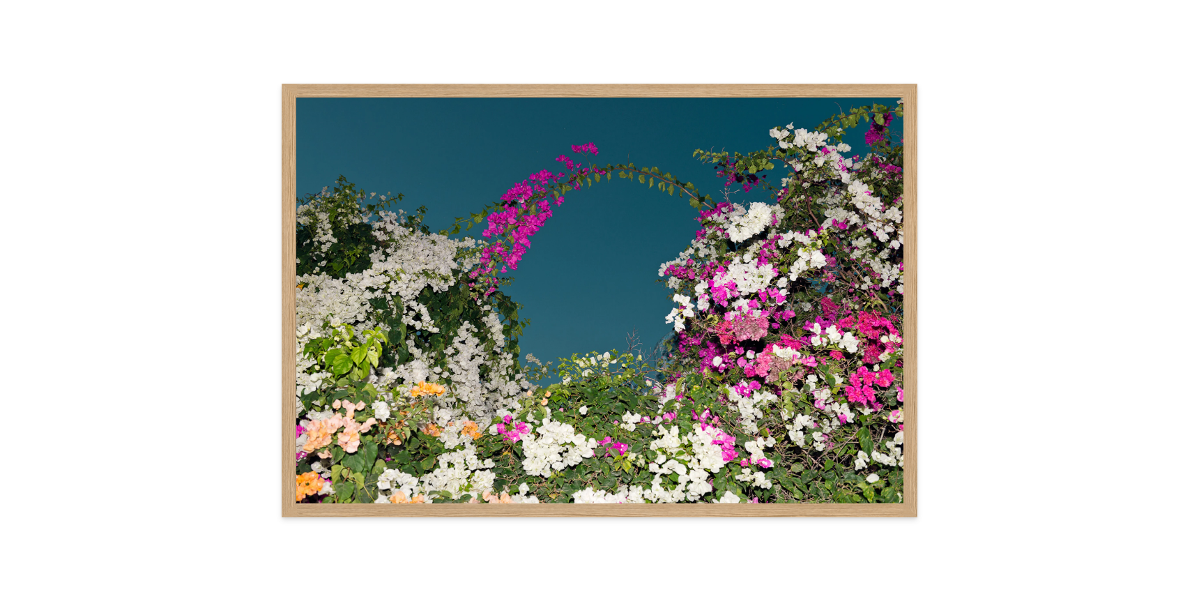 Image rendered by ArtFlows