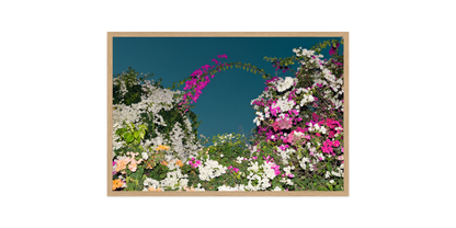 Image rendered by ArtFlows