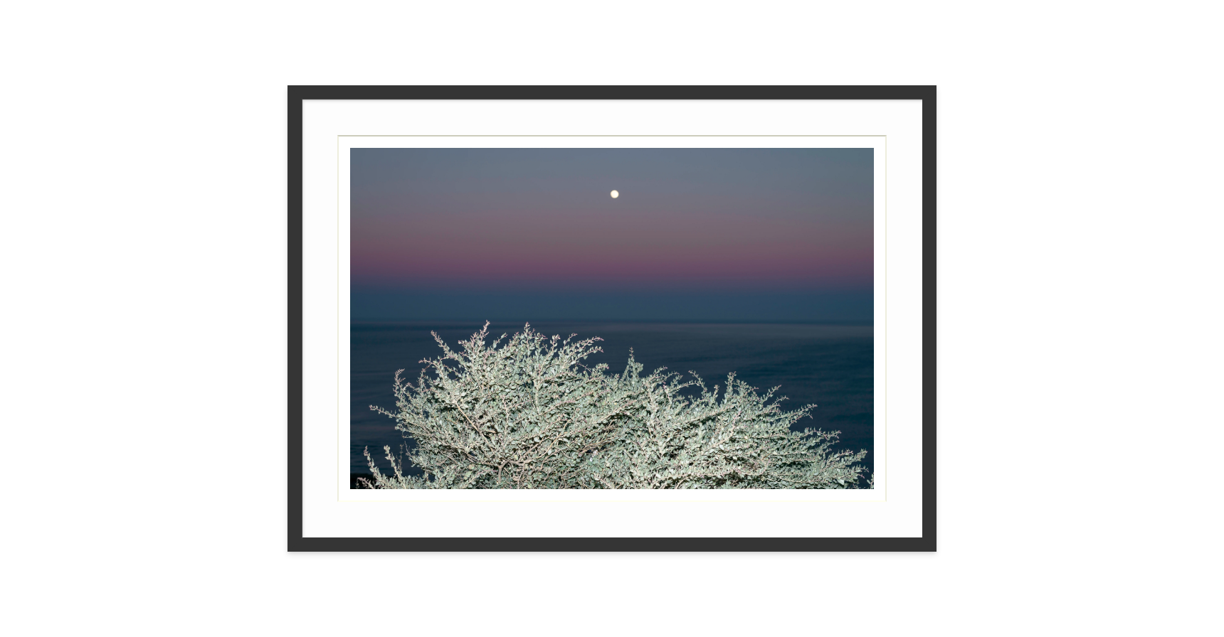 Image rendered by ArtFlows