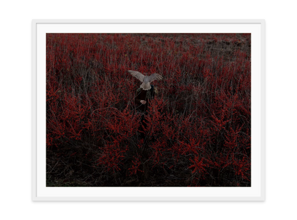 Image rendered by ArtFlows